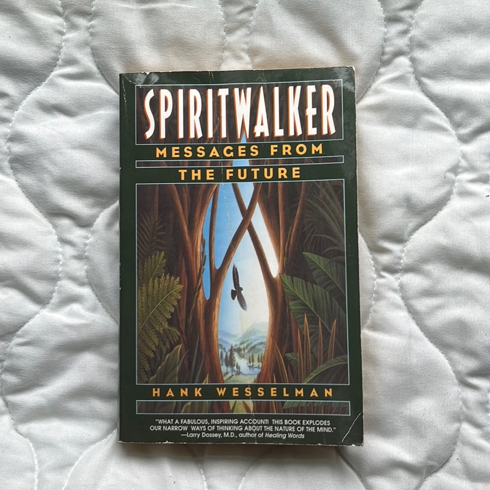 Spiritwalker by Hank Wesselman Messages From The Future Astonishing True Story - Picture 1 of 3